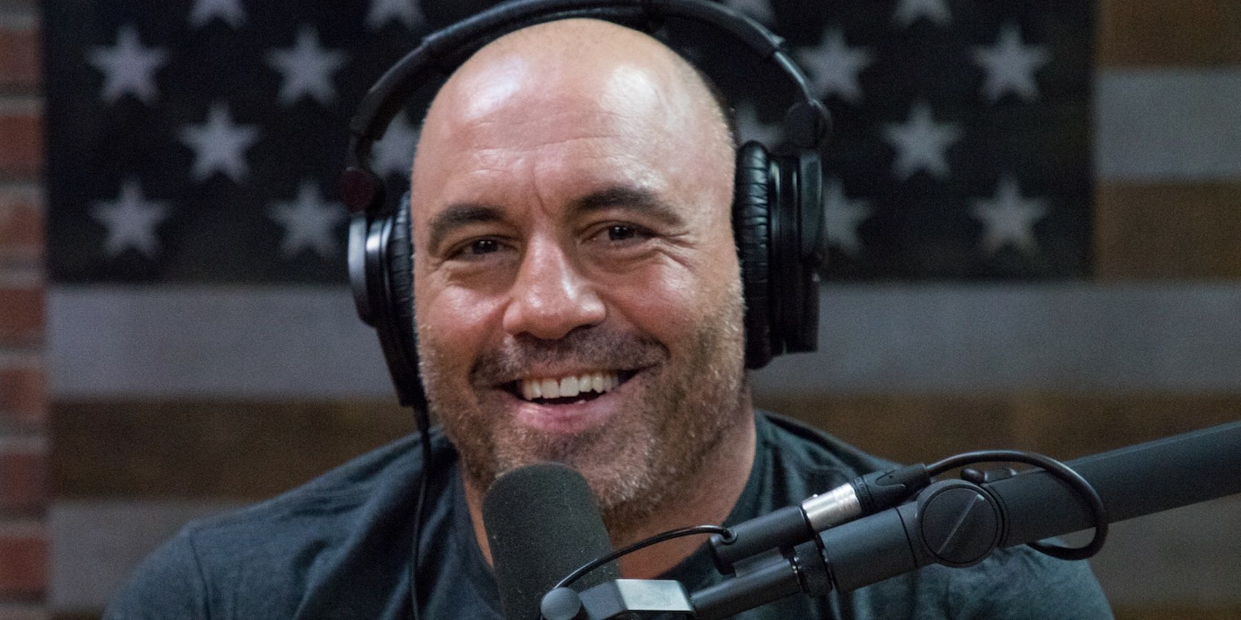 Joe Rogan Young & Healthy Vaccine Podcast Comments Controversy Explained