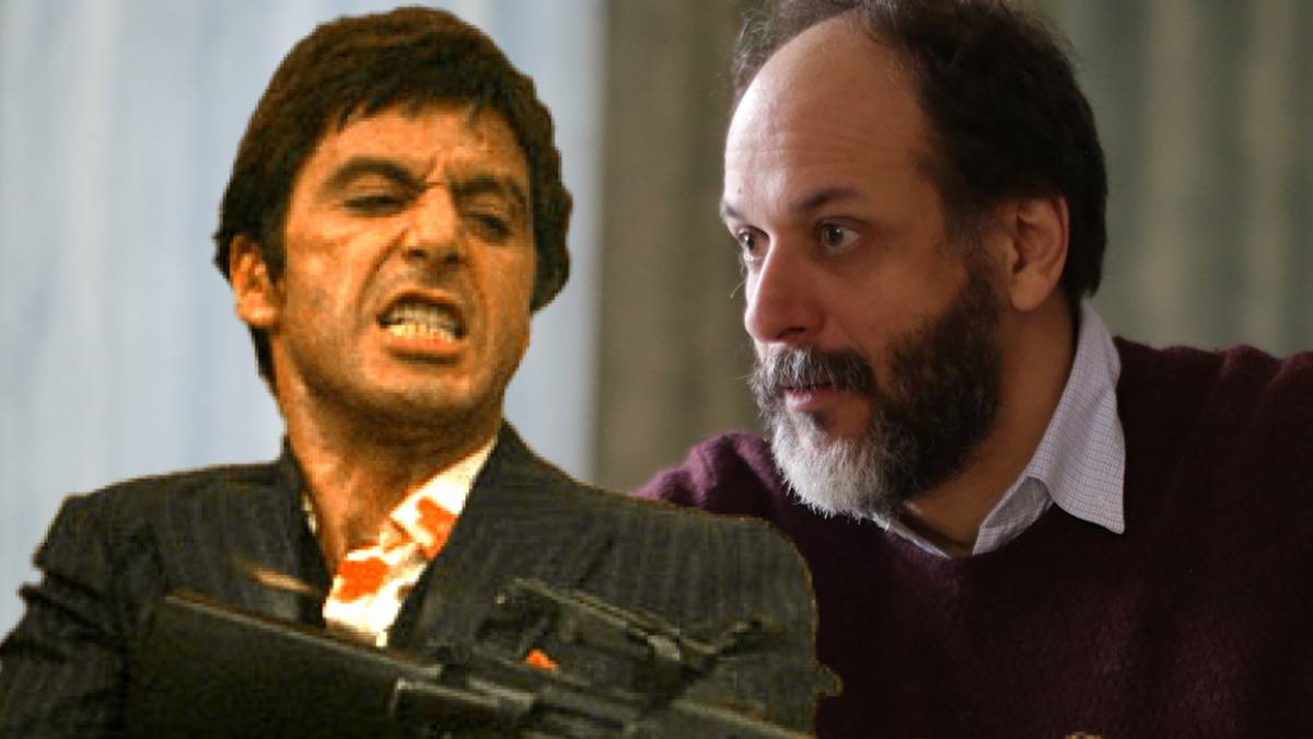 Scarface Movie Reboot Lands Call Me By Your Name Director(02)
