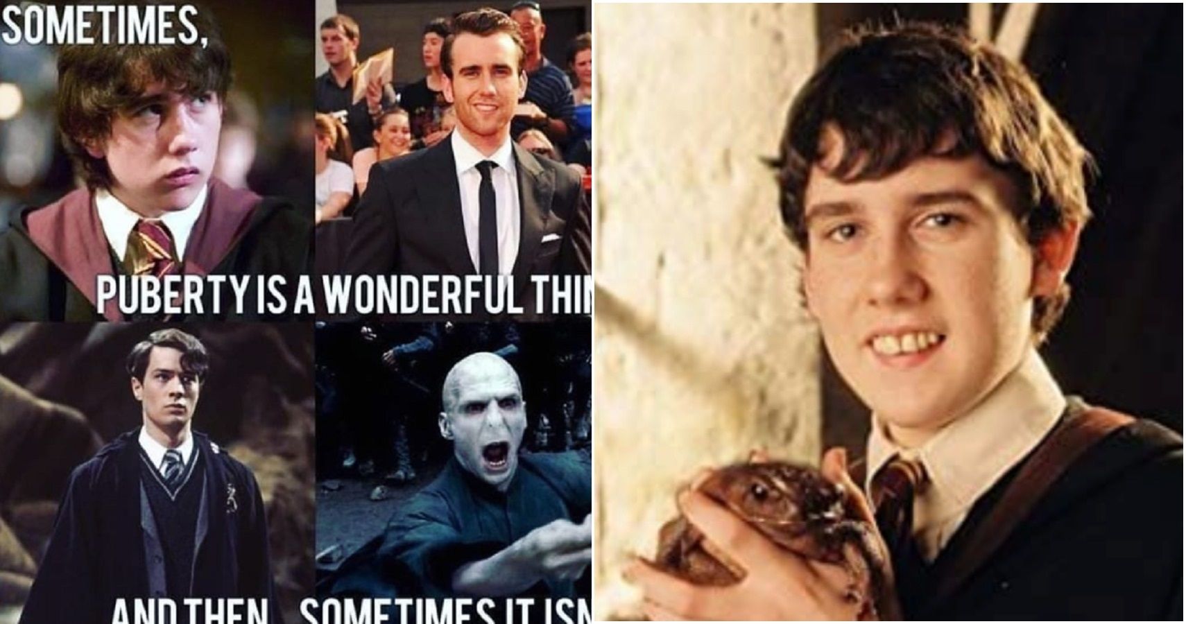  Harry  Potter  10 Memes That Prove Neville Was The Funniest 