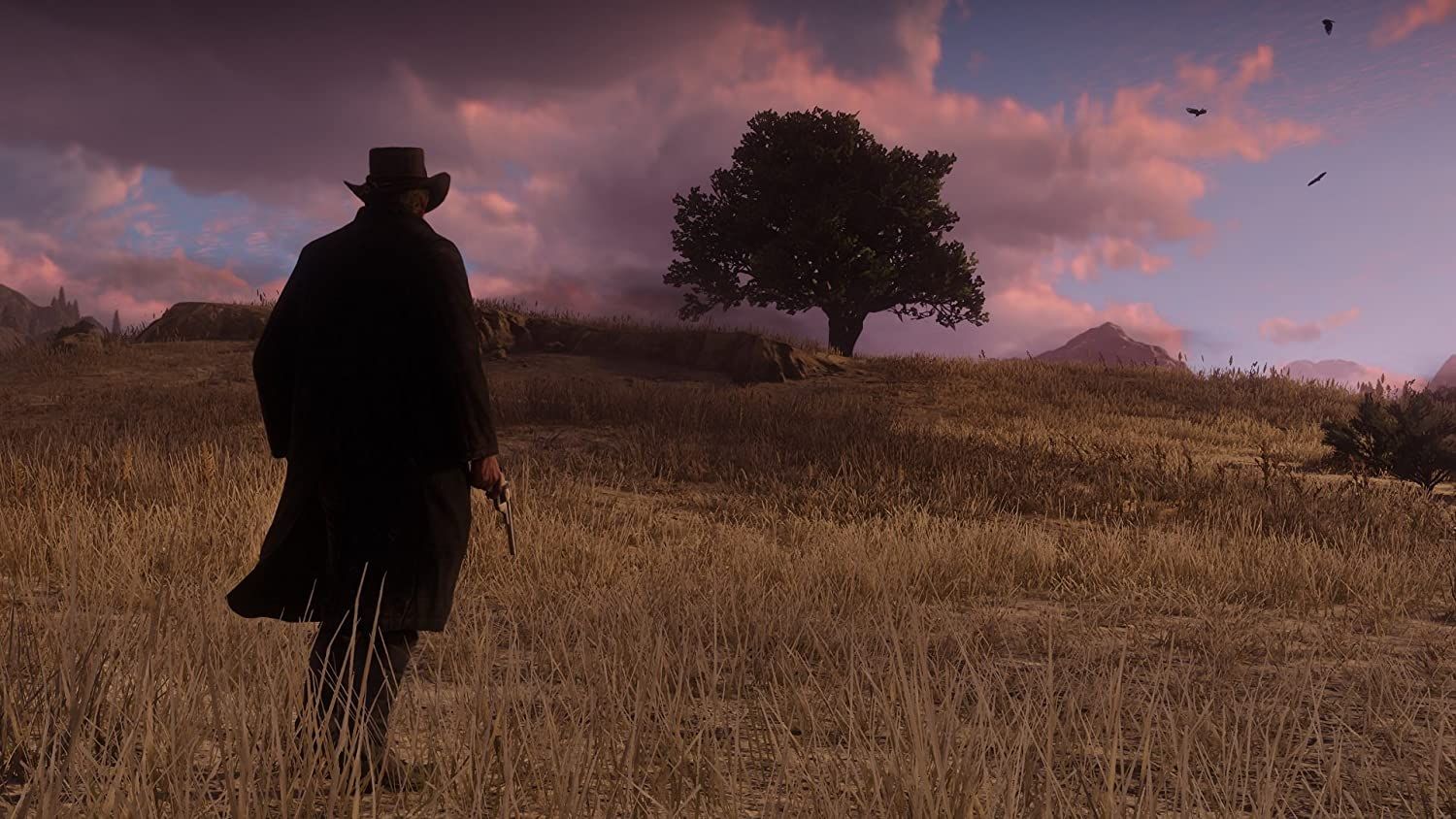 RDR2-2