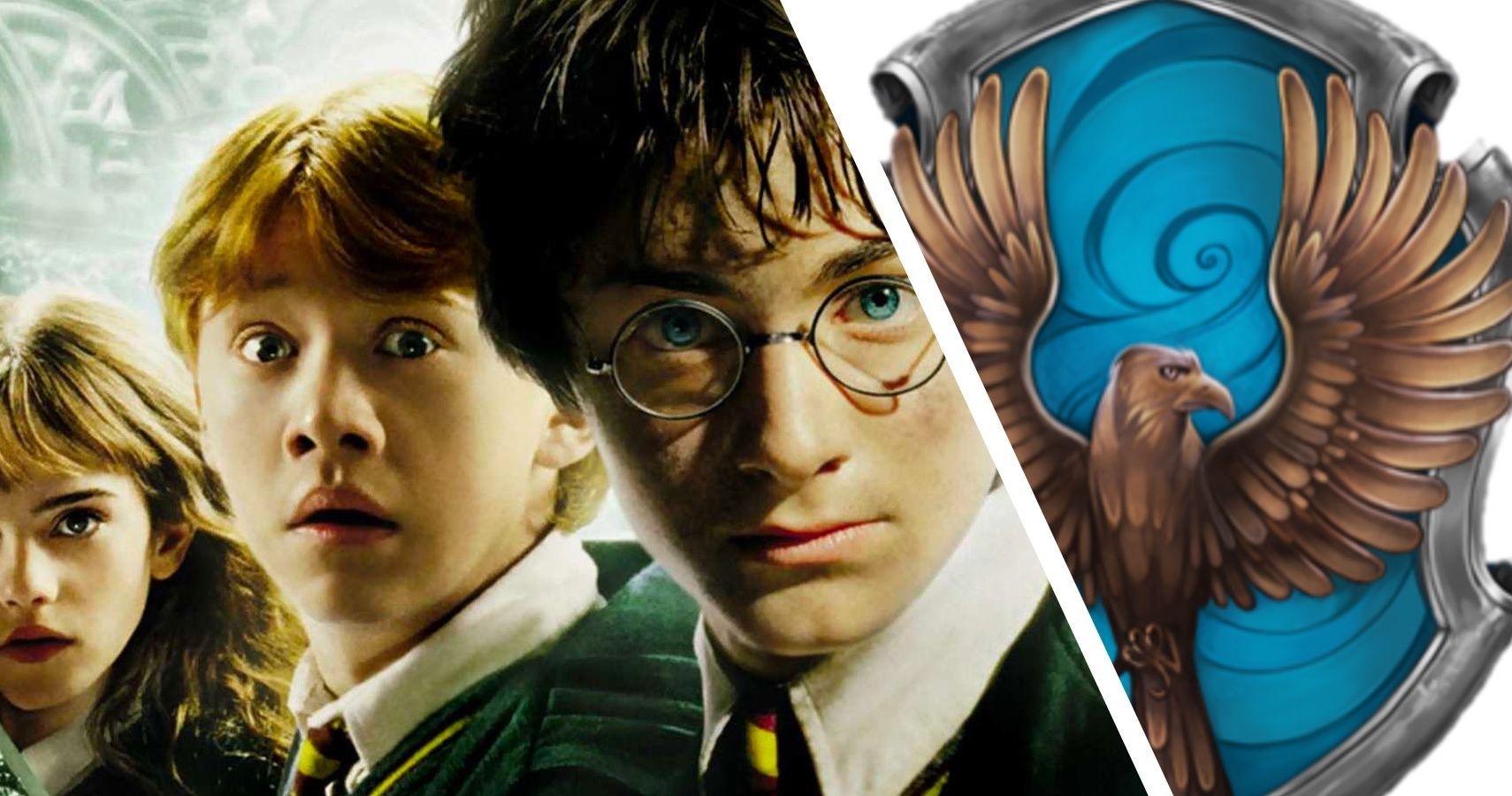 Harry Potter 5 Fantasy Movies Ravenclaws Will Love (& 5 They Will Hate)