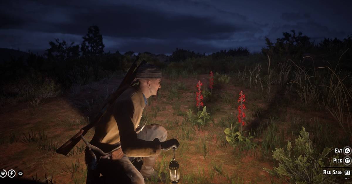 Red Sage in Red Dead Online: Locations & Crafting Uses