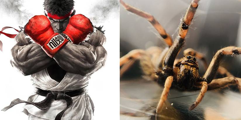 Street Fighter: 10 Crazy Things You Didn't Know About The Iconic Video ...
