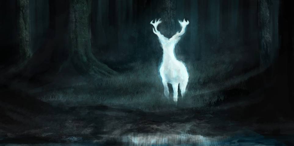 Harry Potter Every Main Character S Patronus What It Really Means