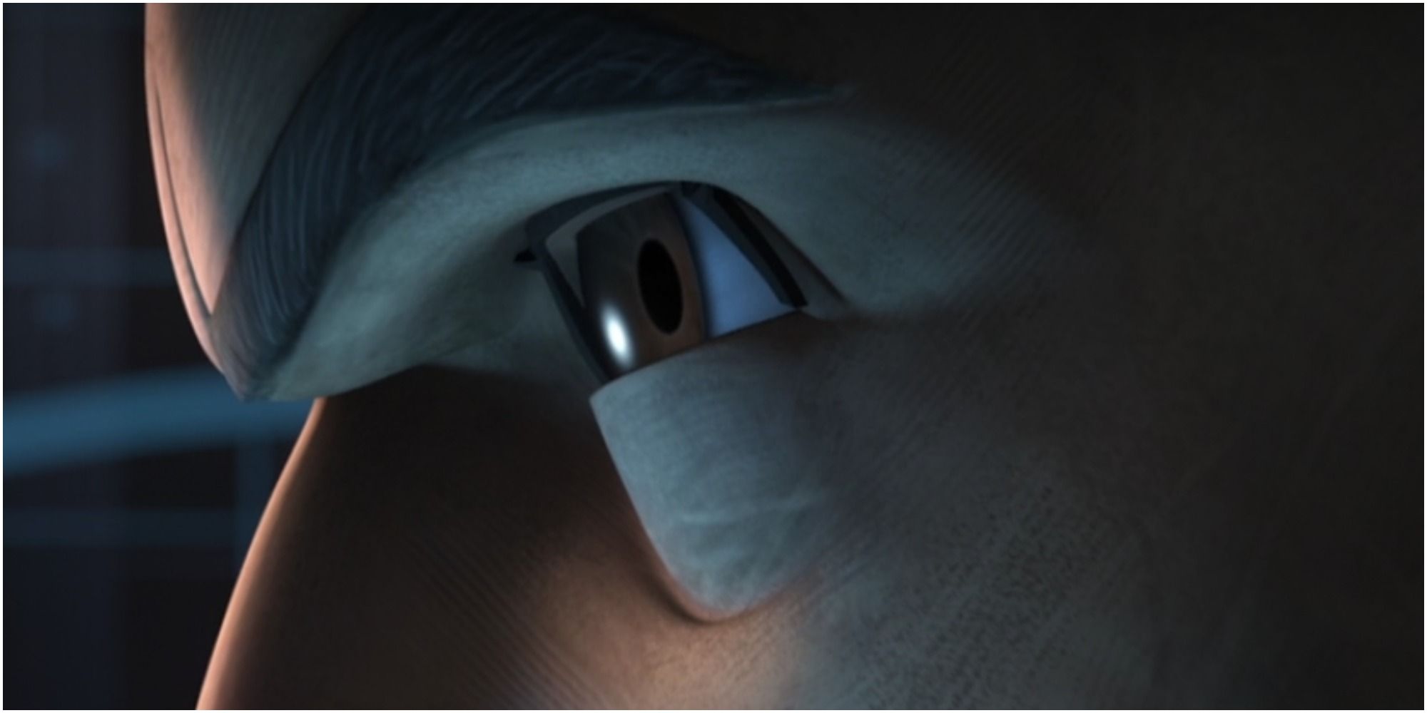 What Happened To Captain Rex After The Clone Wars & Order 66?