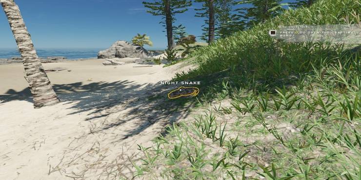 Stranded Deep A Guide To Dangerous Creatures Screen Rant