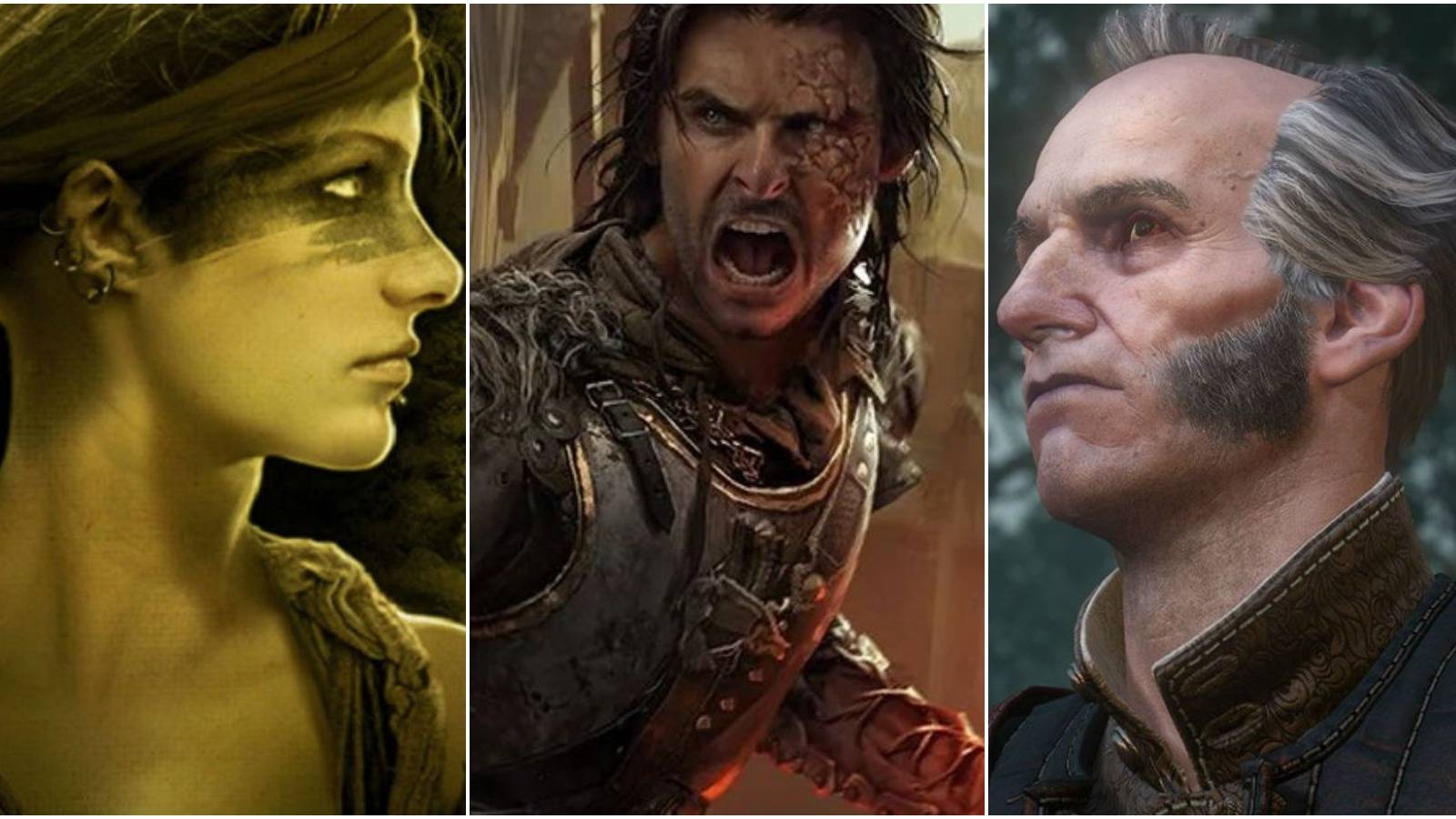 10 Witcher Book Characters To Look Forward To