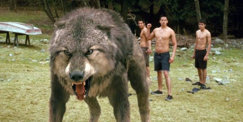 Twilight: 5 Ways The Books Are Better Than the Movies (& 5 Ways the ...