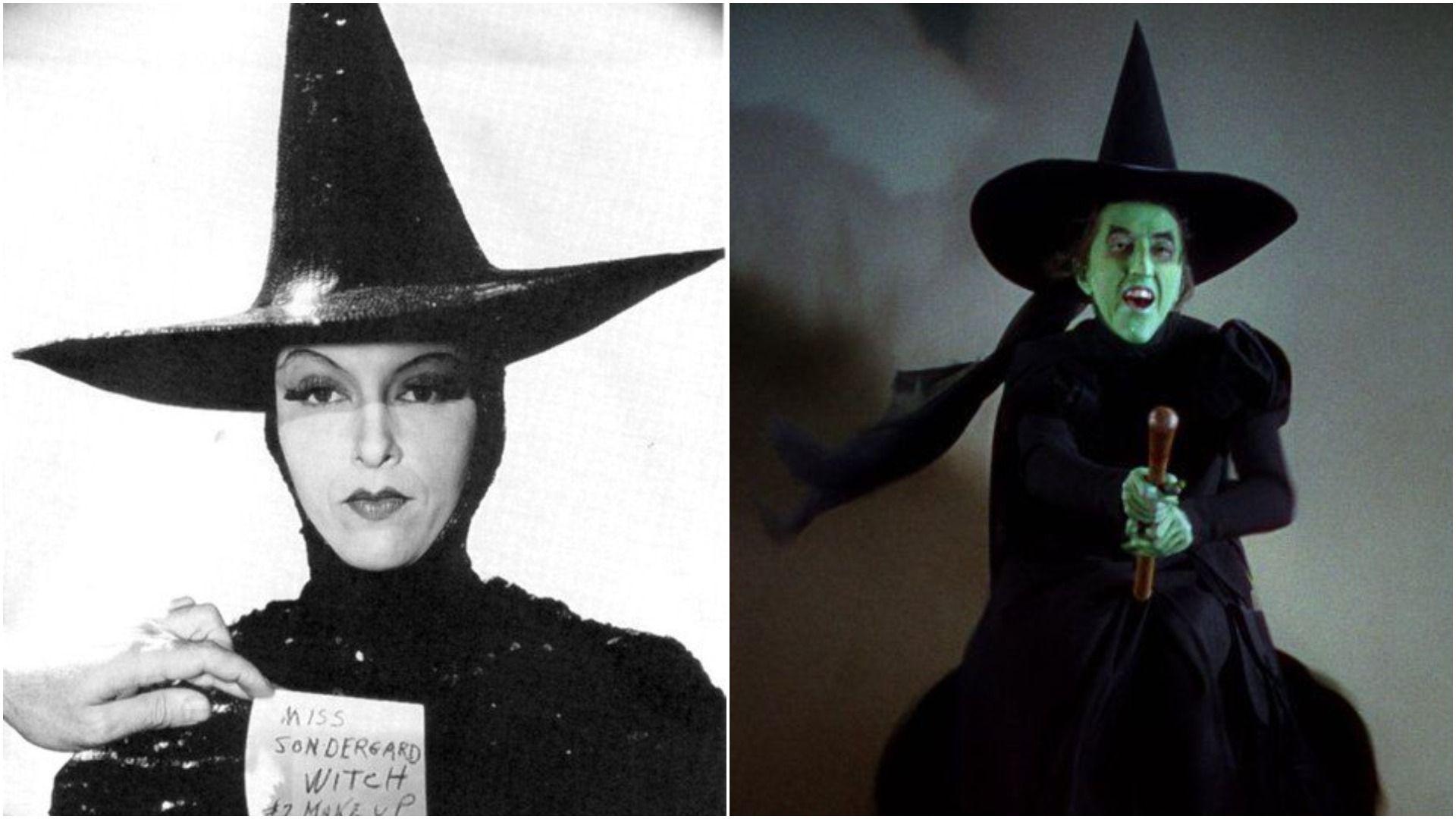 The Wizard Of Oz 10 Things Fans Didnt Know About The Cast