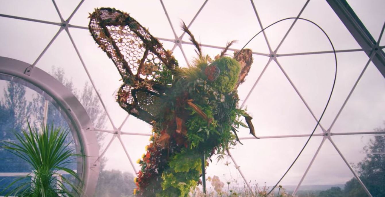 Big Flower Fight Top Floral Masterpieces From Netflix S Show