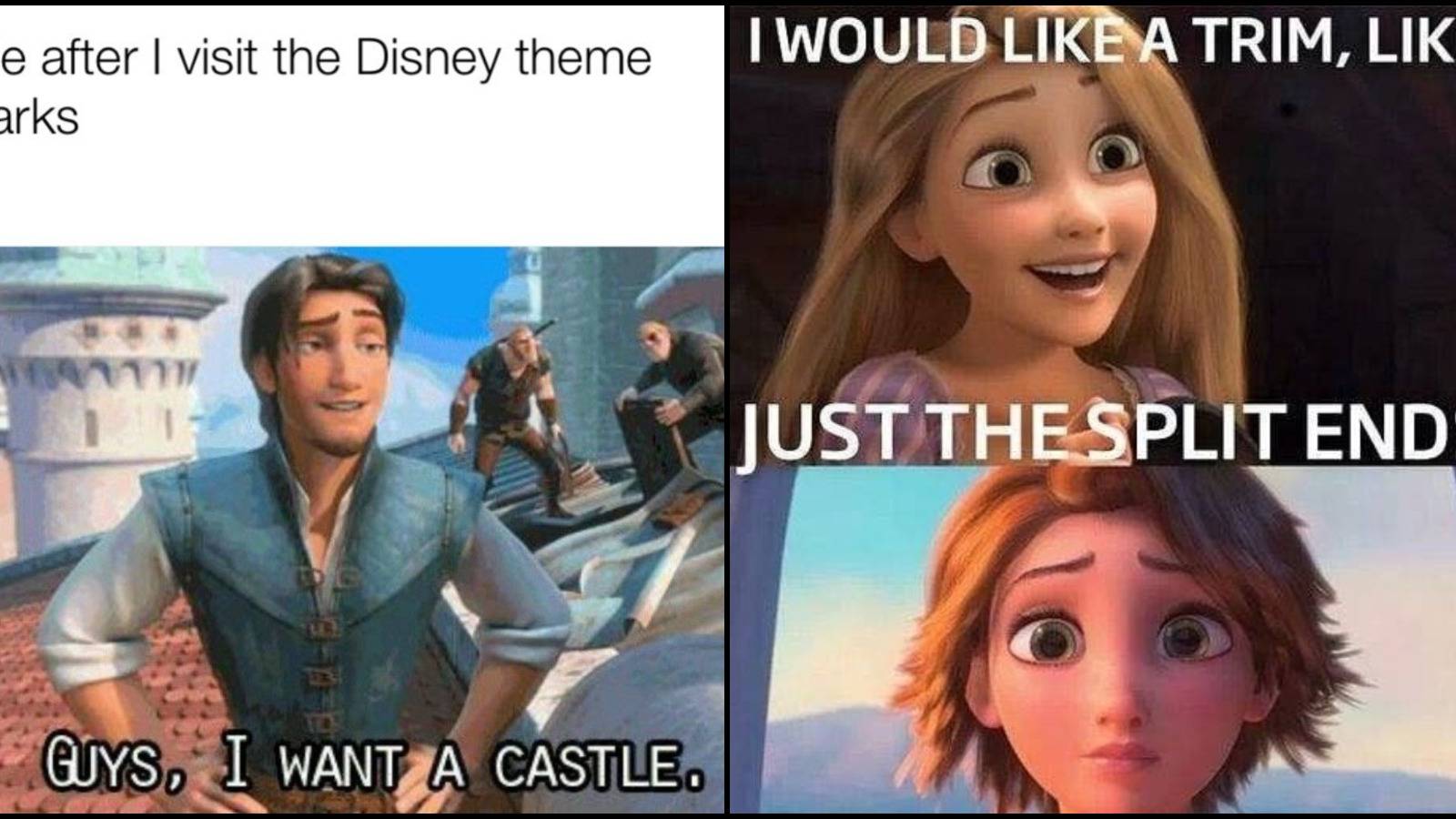 Disney's Tangled: 10 Memes That Will Leave Any Disney Fan Cry-Laughing