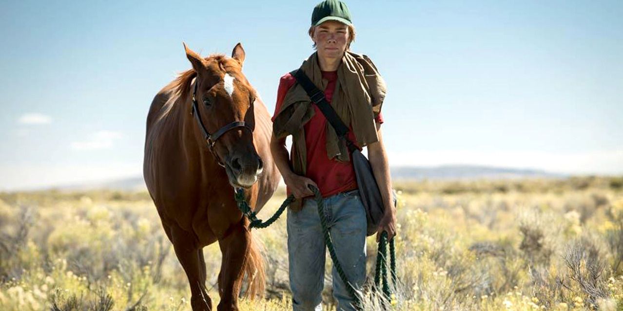 18 Best Horse Movies Of All Time