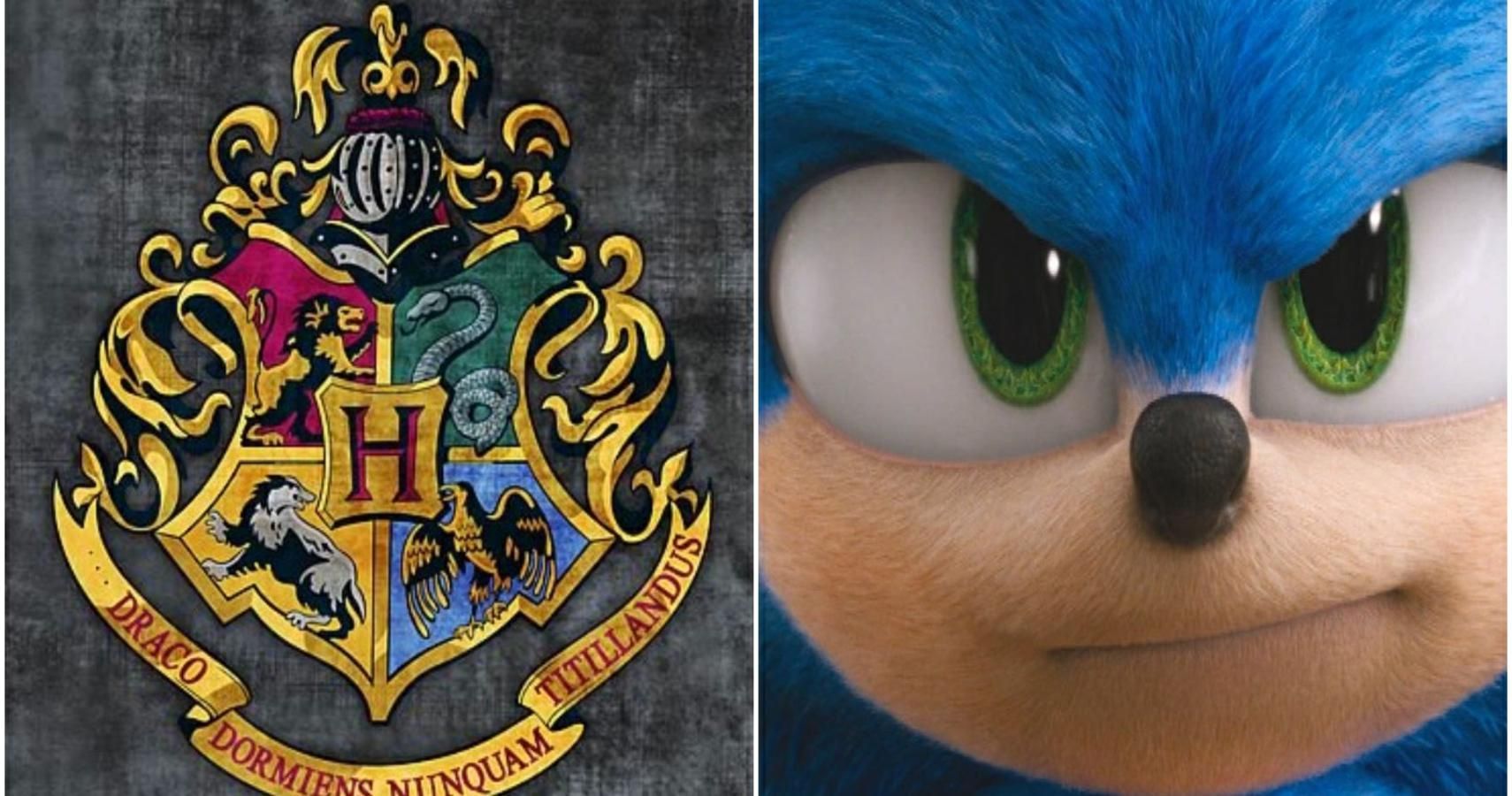 Sonic Characters Sorted Into Their Hogwarts Houses