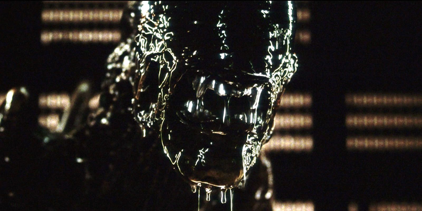 その他 Resurrection Special Expansion その他 Resurrection Special