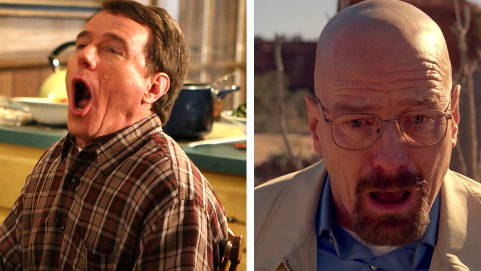 5 Reasons Bryan Cranston's Best Role Is Walter White (& 5 Why It's Hal)