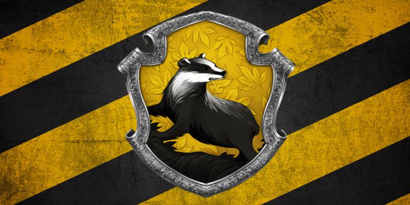 Harry Potter: 11 Reasons Why Hufflepuff Is The Worst House