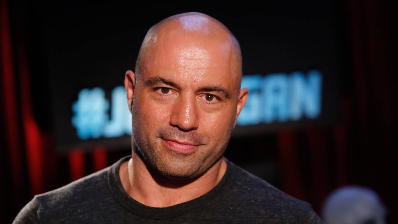 Joe Rogan: 10 Best TV & Movie Roles, Ranked (According To IMDb)