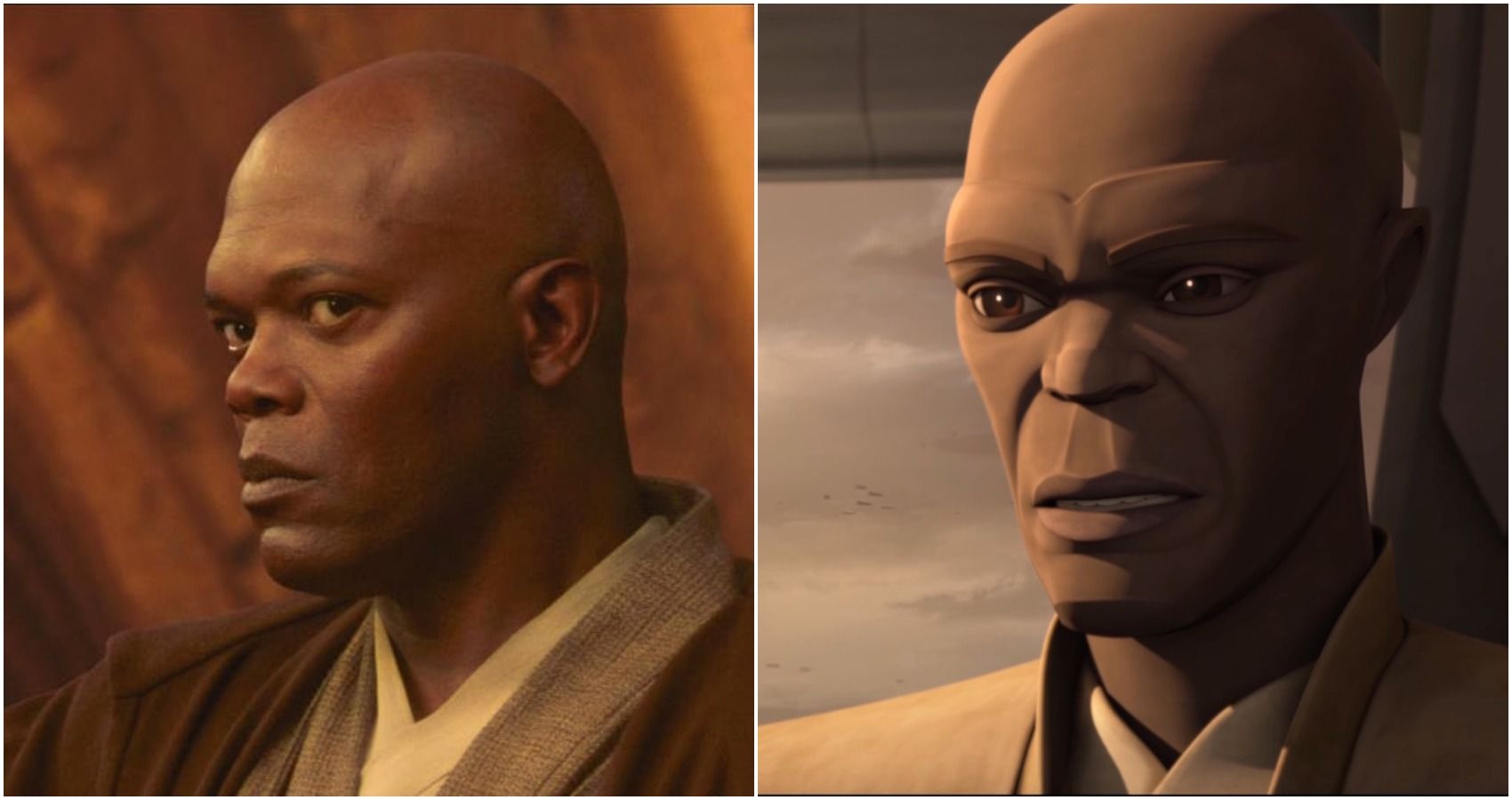 Star Wars Mace Windu's 10 Best Quotes ScreenRant