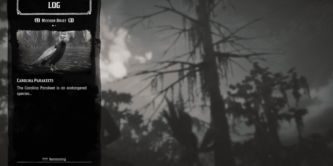 Red Dead Redemption 2 Where To Find The Carolina Parakeet Plarko