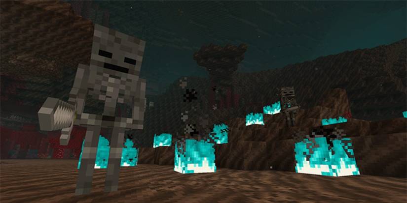 Minecraft: The Nether Update’s New Biomes Explained
