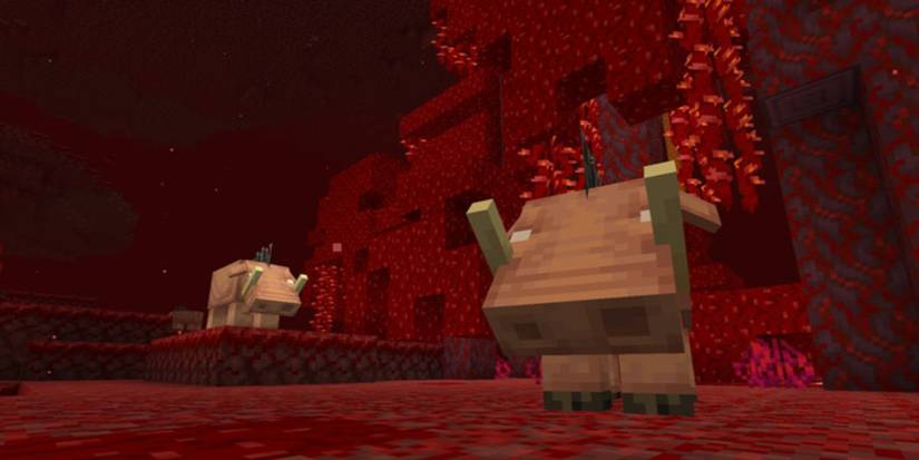 Minecraft: The Nether Update’s New Biomes Explained