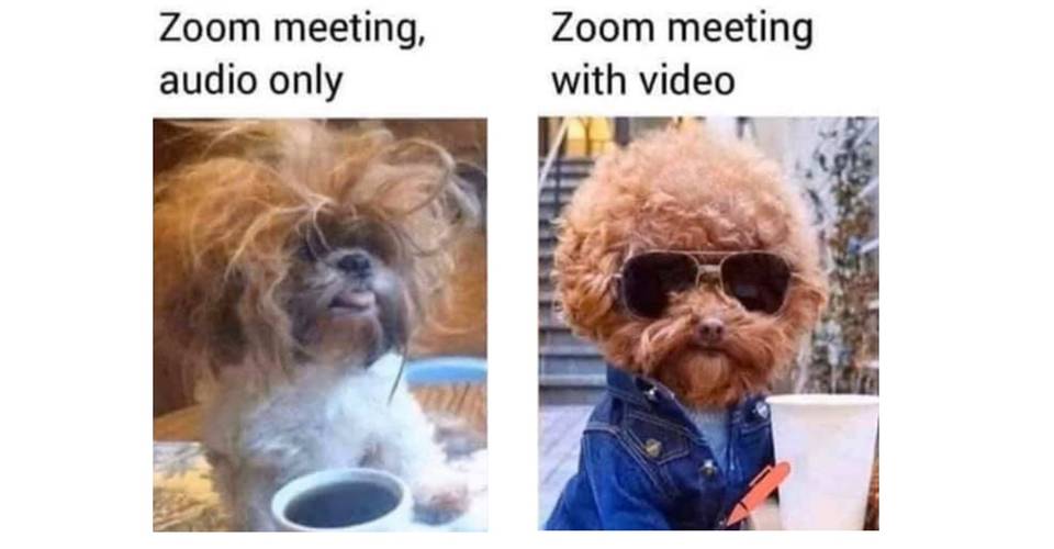 Best Work From Home Memes To Share With Friends Co Workers