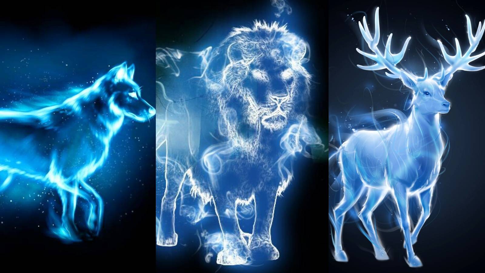 Python Patronus Harry Potter: 5 Patronus Animals Pisces Would Likely Have (& 5 They ...