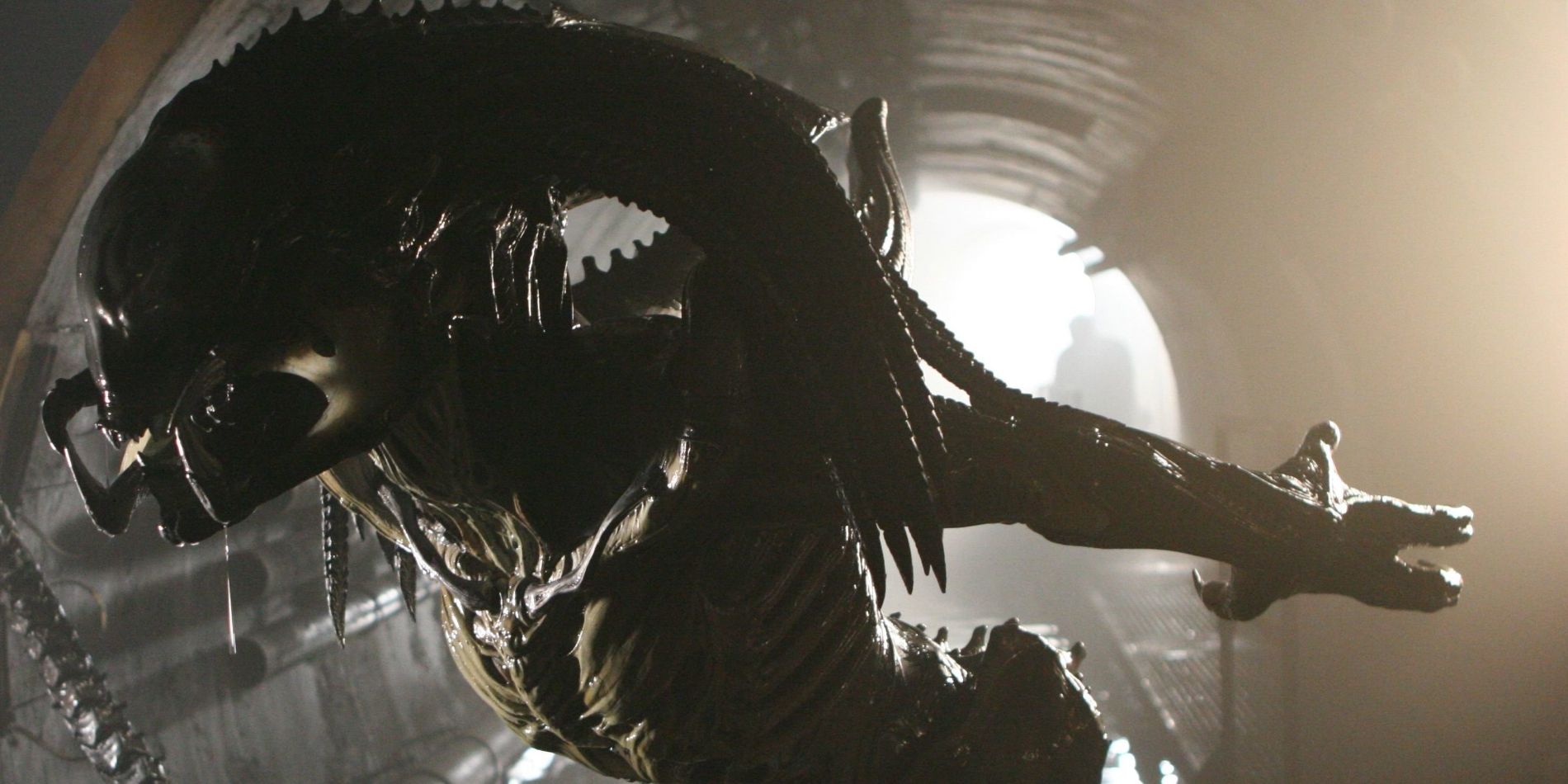 "No sería lo que piensas:" New Alien Vs. La actualización de Predator significa que finalmente pueden hacer el crossover correcto