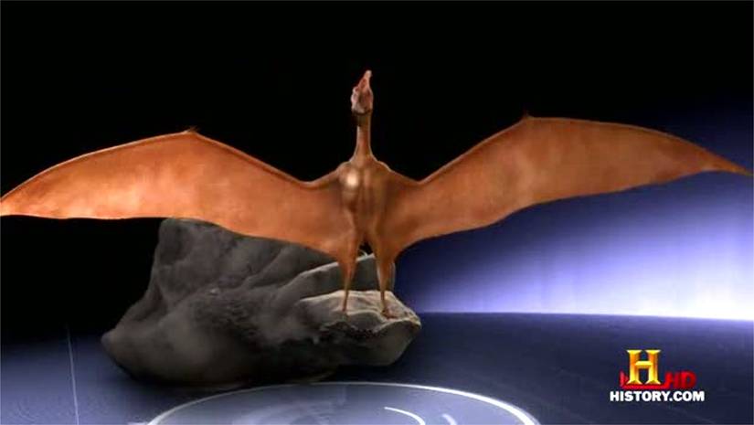 pterosaur from MonsterQuest
