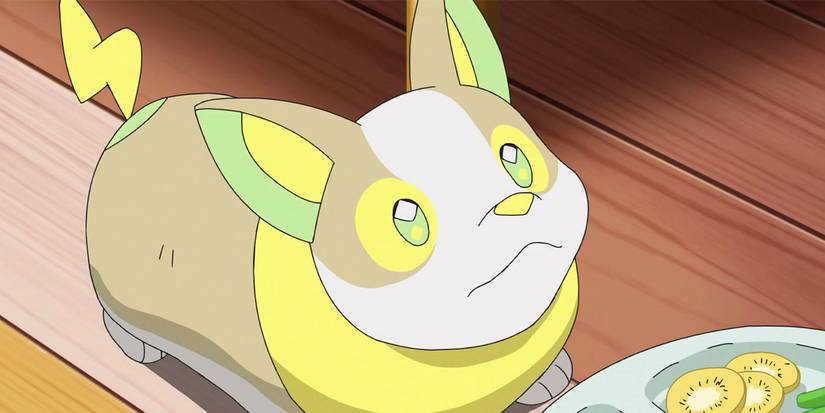 Yamper olhando para Pokémon