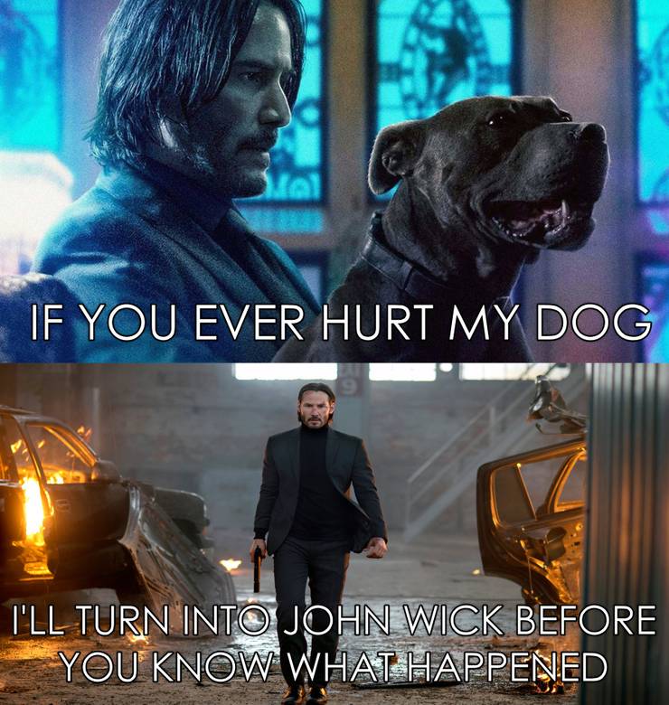 These John Wick 2 Memes Are Too Hilarious For Words Screenrant