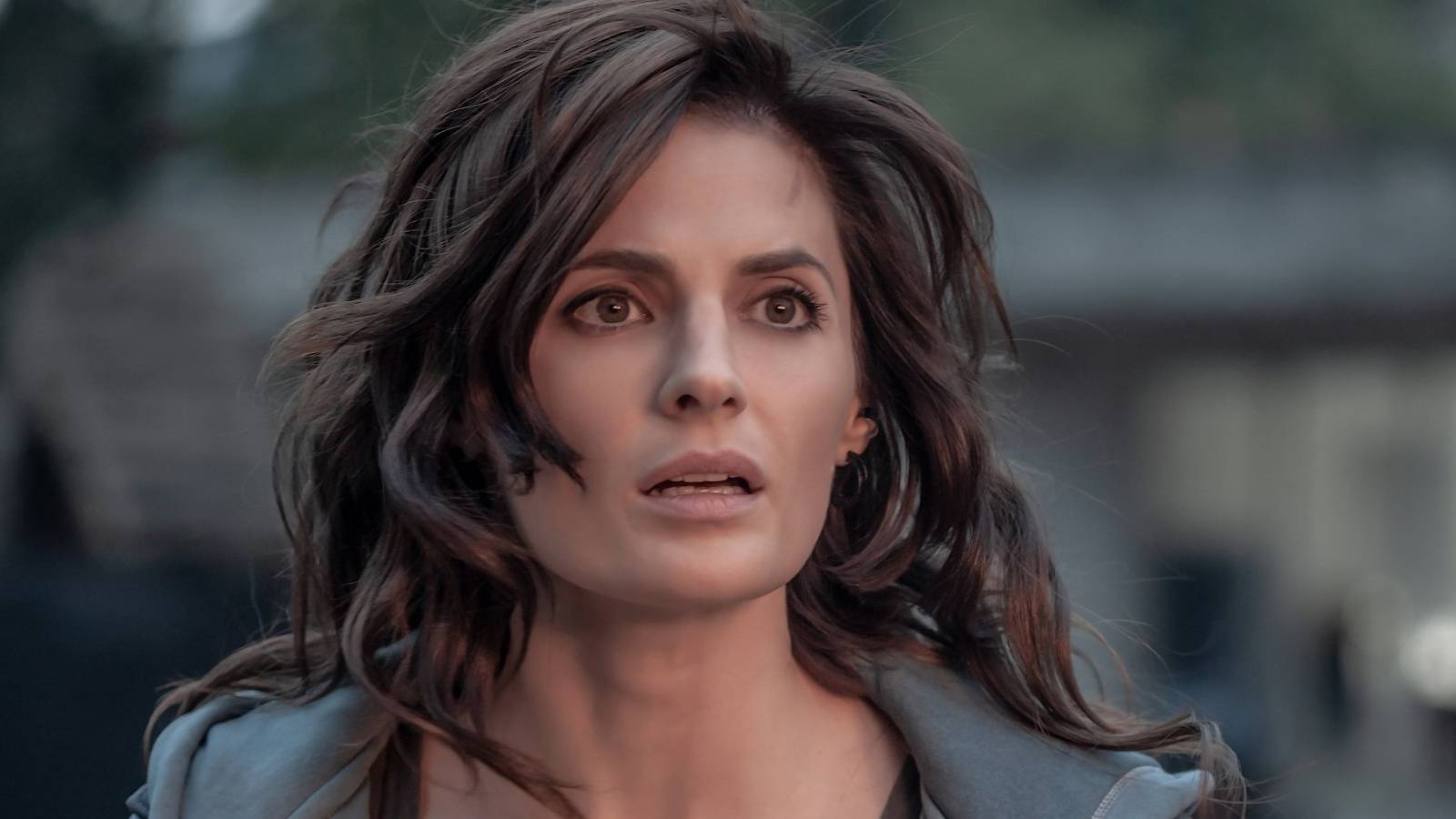 Absentia: 10 Hidden Details About The Main Characters Everyone Missed