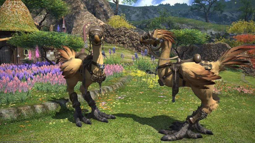 Chocobo Companions in Final Fantasy XIV