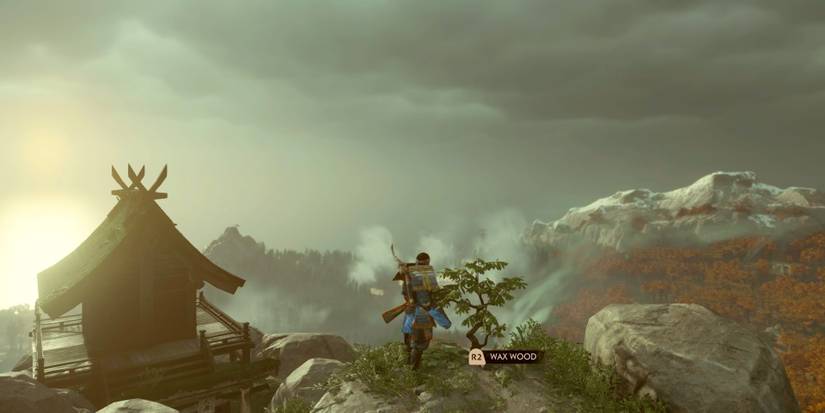 How to Get Wax Wood in Ghost of Tsushima (& What it's For)