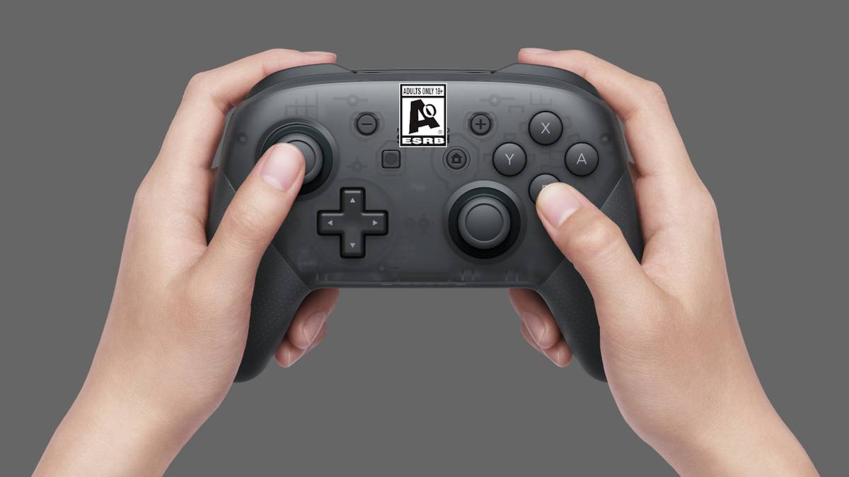 sexpuppe lena meyer landrut Pro Wired Controller Face Off Nintendo Switch Controller Game Controller Pro  Somatosensory Vibration For Nintendo Switch