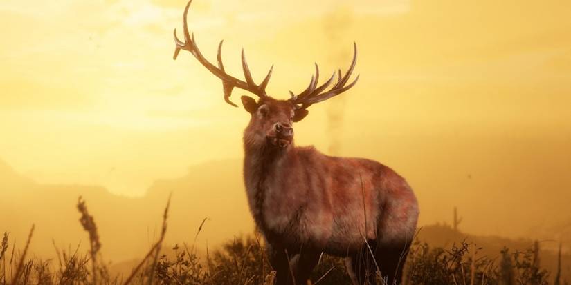 Red Dead Online: Where to Find The Elephant Gun