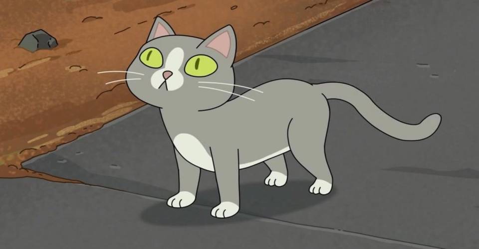 Rick And Morty Why The Talking Cat Can Talk Screen Rant