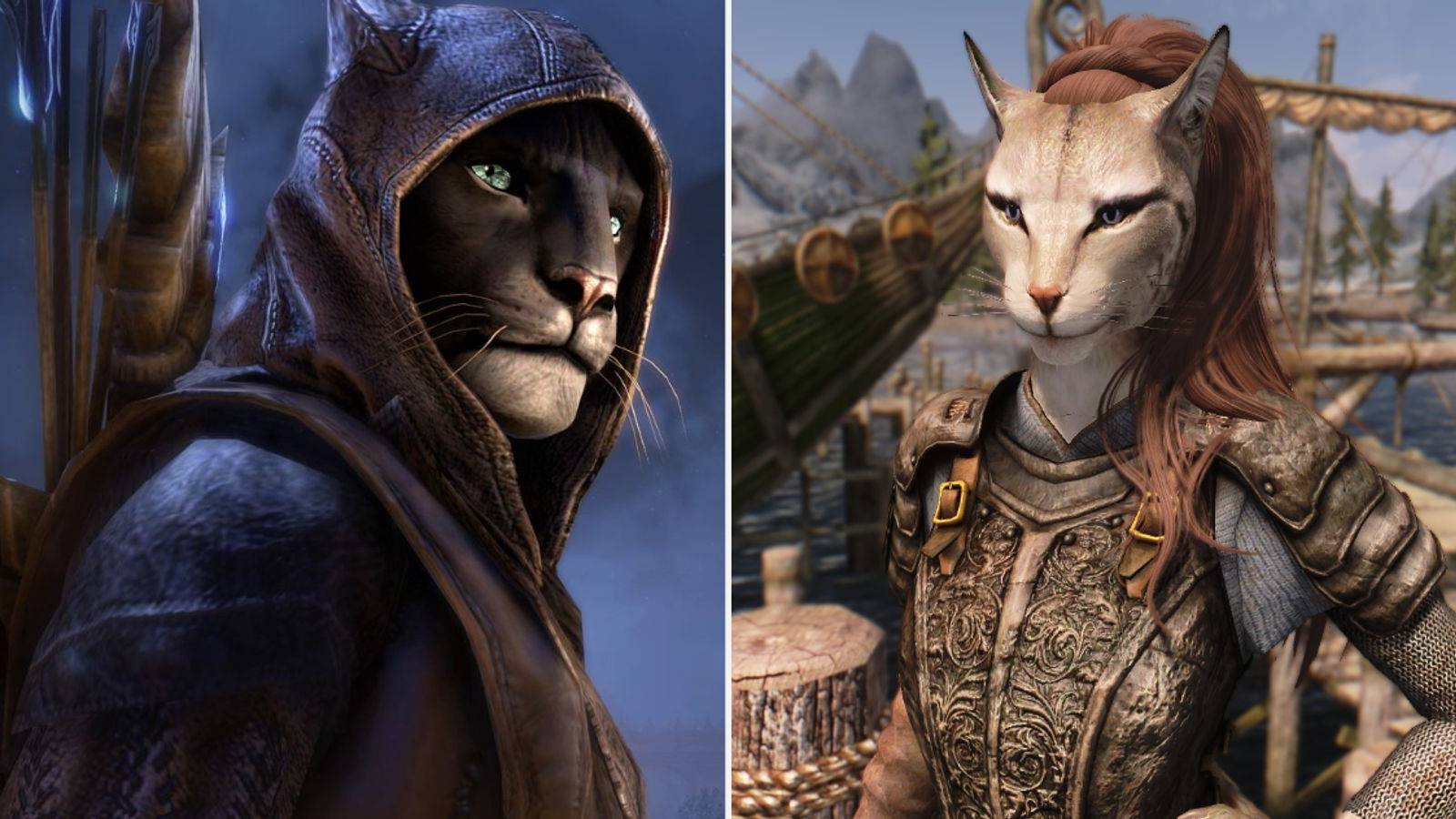 Skyrim: 10 Things You Didn't Know About Khajiit, image size:1600x900