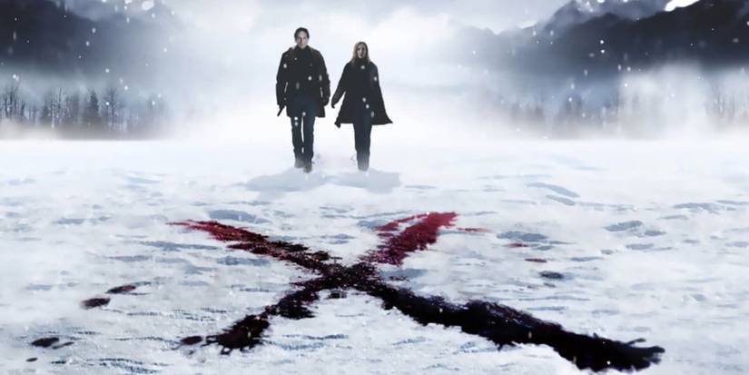 The x-files i want to believe poster with Mulder (David Duchovny) and Scully (Gillian Anderson) walking in the snow.
