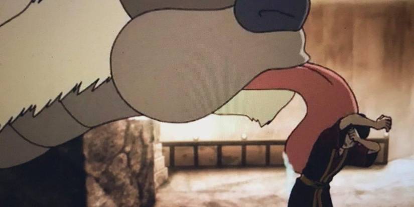 5 Times Appa & Momo Were The Best Part Of Avatar & 5 Times Pabu & Naga ...
