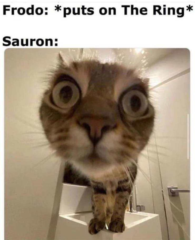 Lord Of The Rings 10 Sauron Memes That Are Still Way Too Funny Lord Of The Rings 10 Sauron Memes That Are Still Way Too Funny