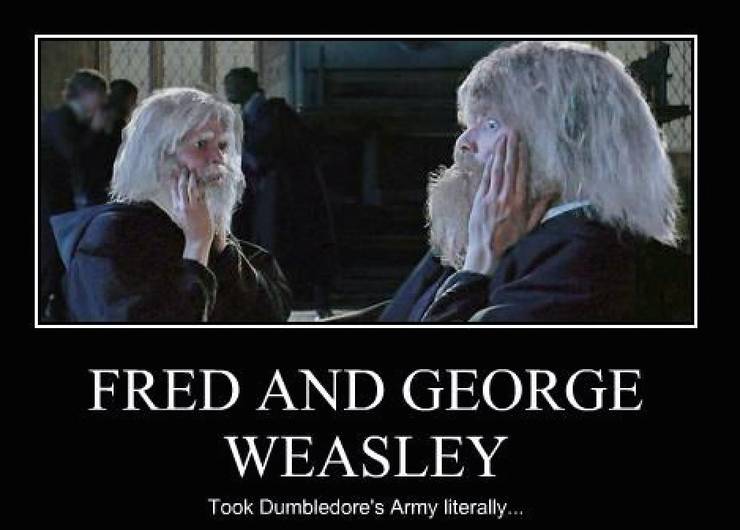 Harry Potter 10 Memes That Fred And George Fans Will Love