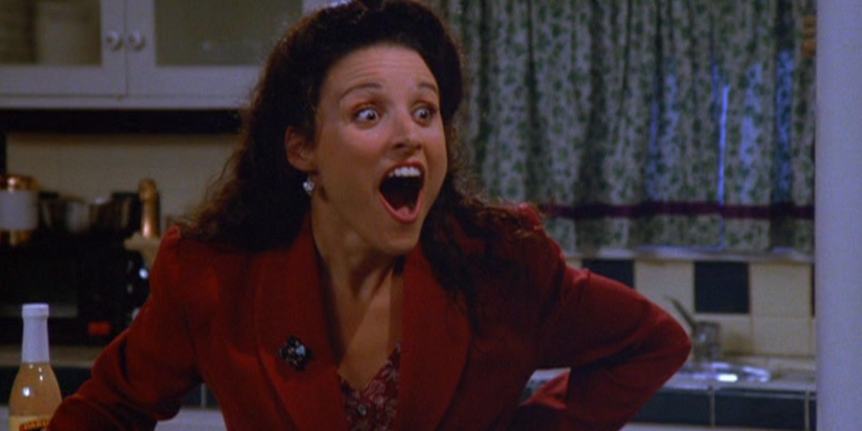 Seinfeld Elaines 10 Funniest Storylines Ranked