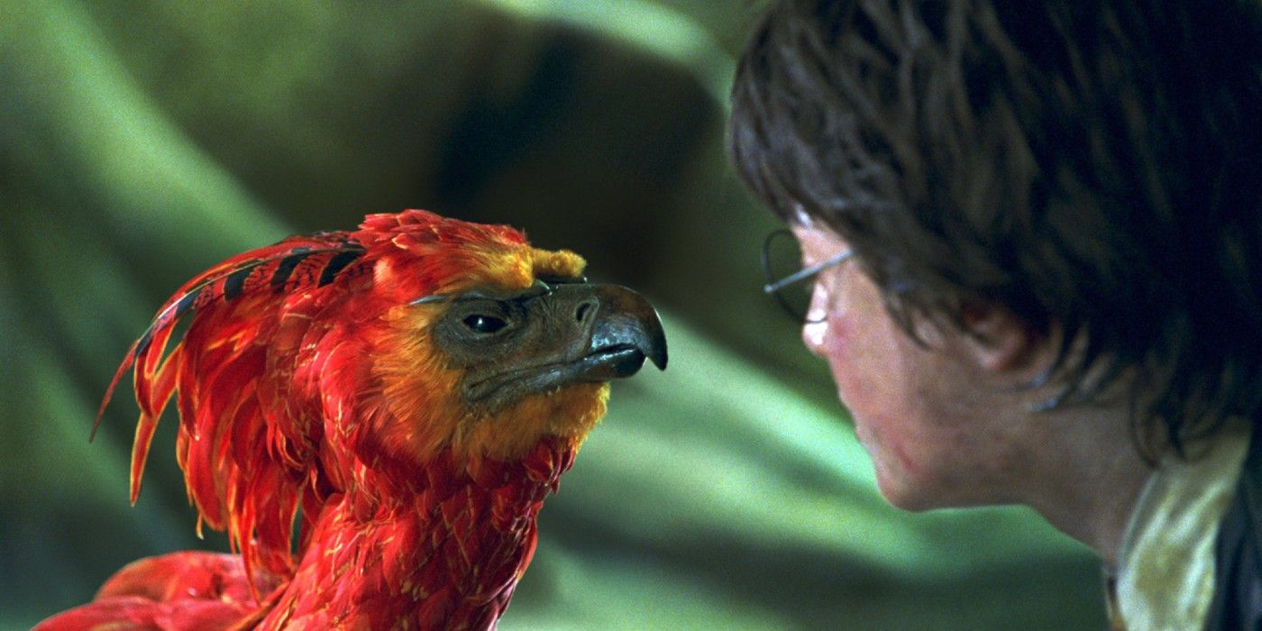 Harry Potter Wandlore 10 Things You Didnt Know About Phoenix Feather Cores