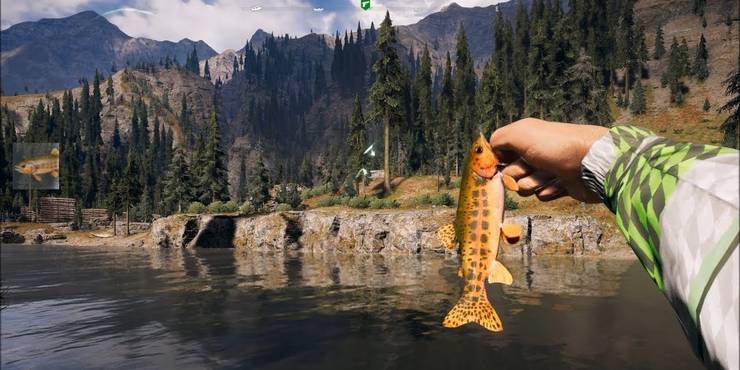 Far Cry 5 Every Fishing Record Where To Beat Them Screenrant