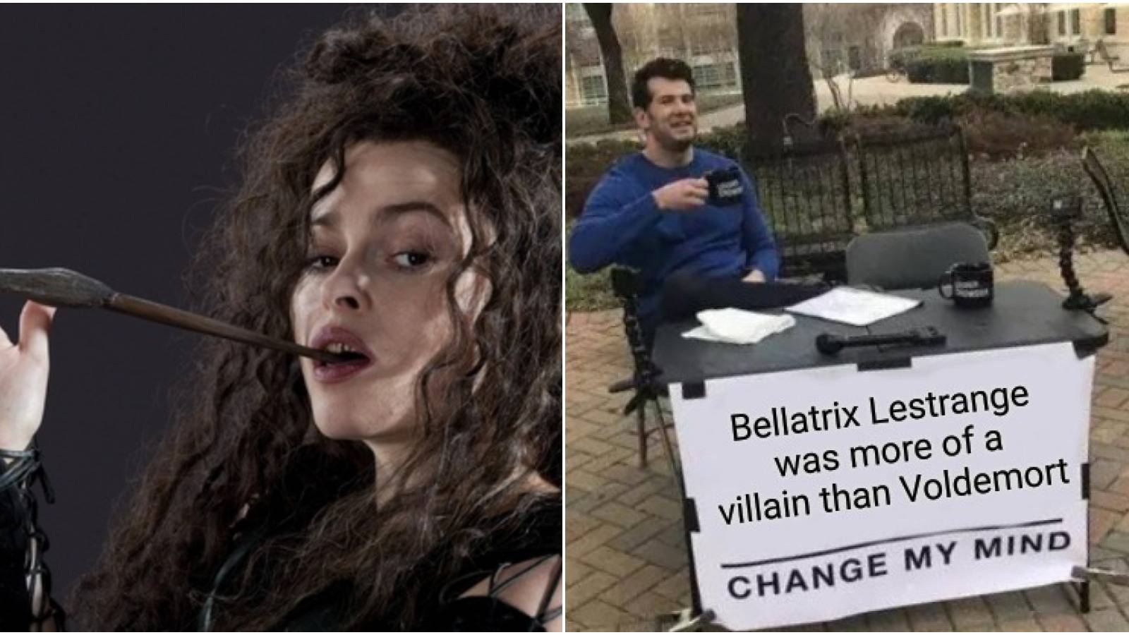 Beatrix Meme Harry Potter: 10 Memes Bellatrix Fans Will Love