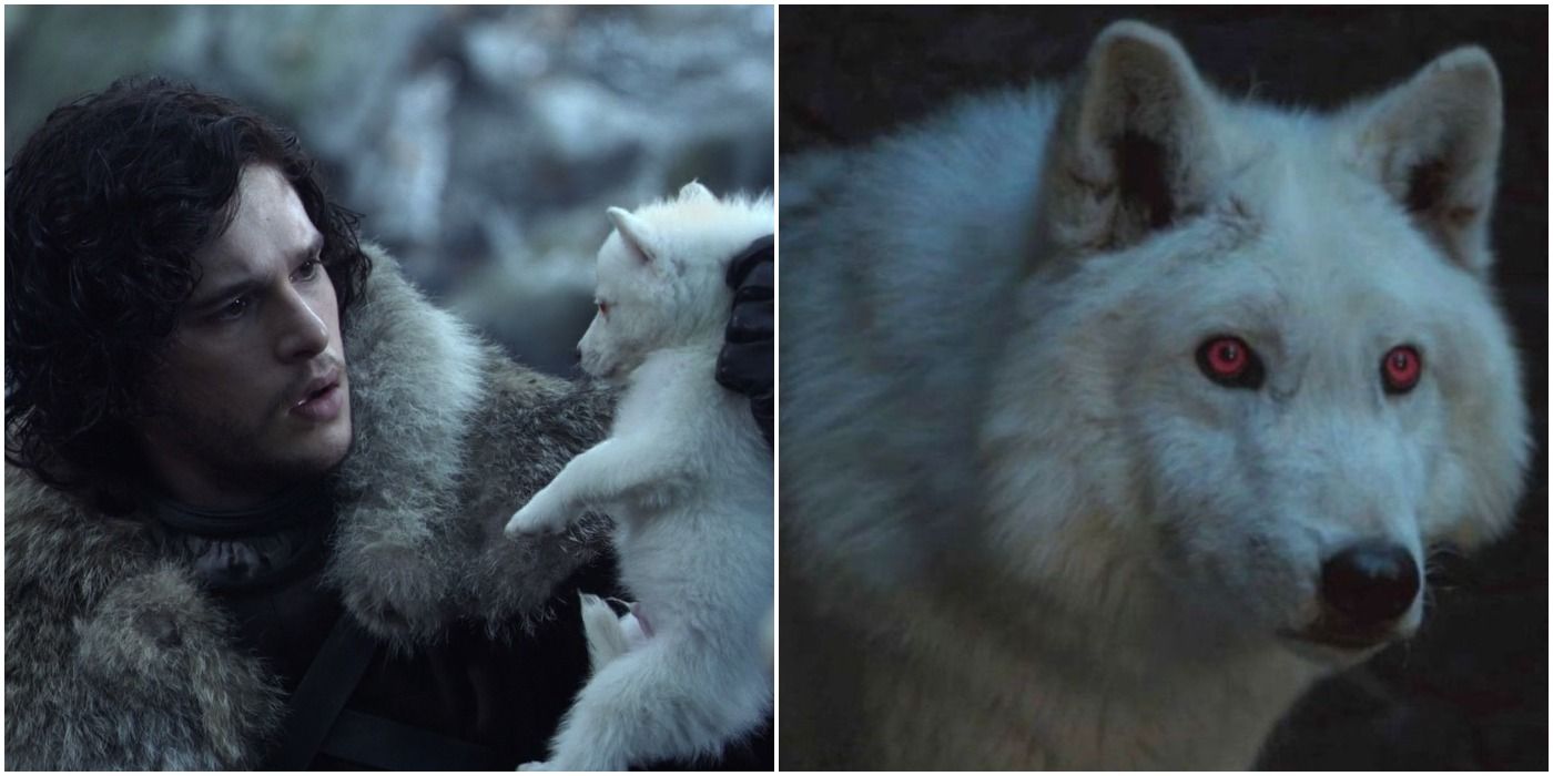 Best Jon Snow & Ghost Moments On Game Of Thrones, Ranked