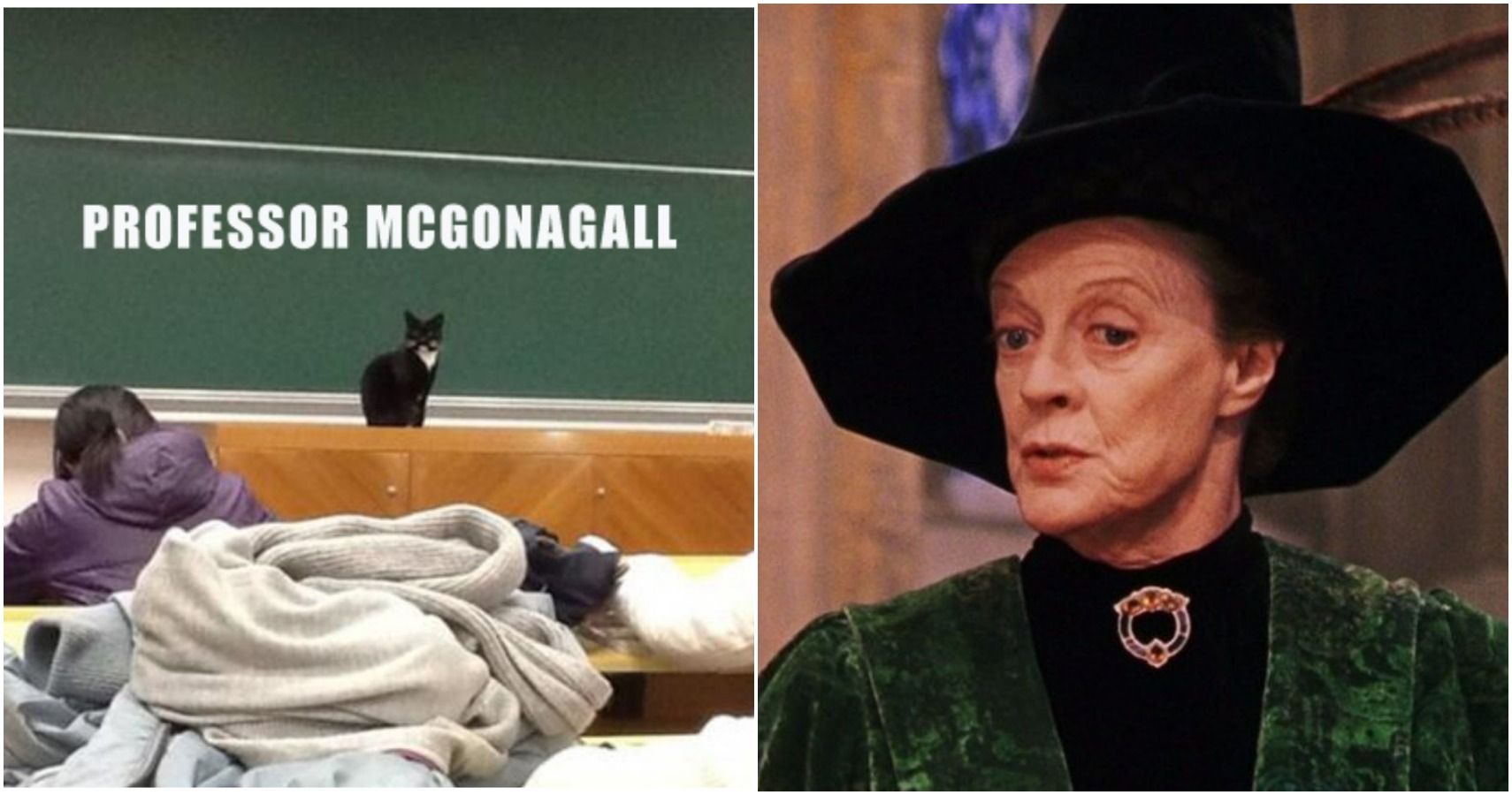 Harry Potter 10 Professor McGonagall Memes That Will Melt Fans Hearts
