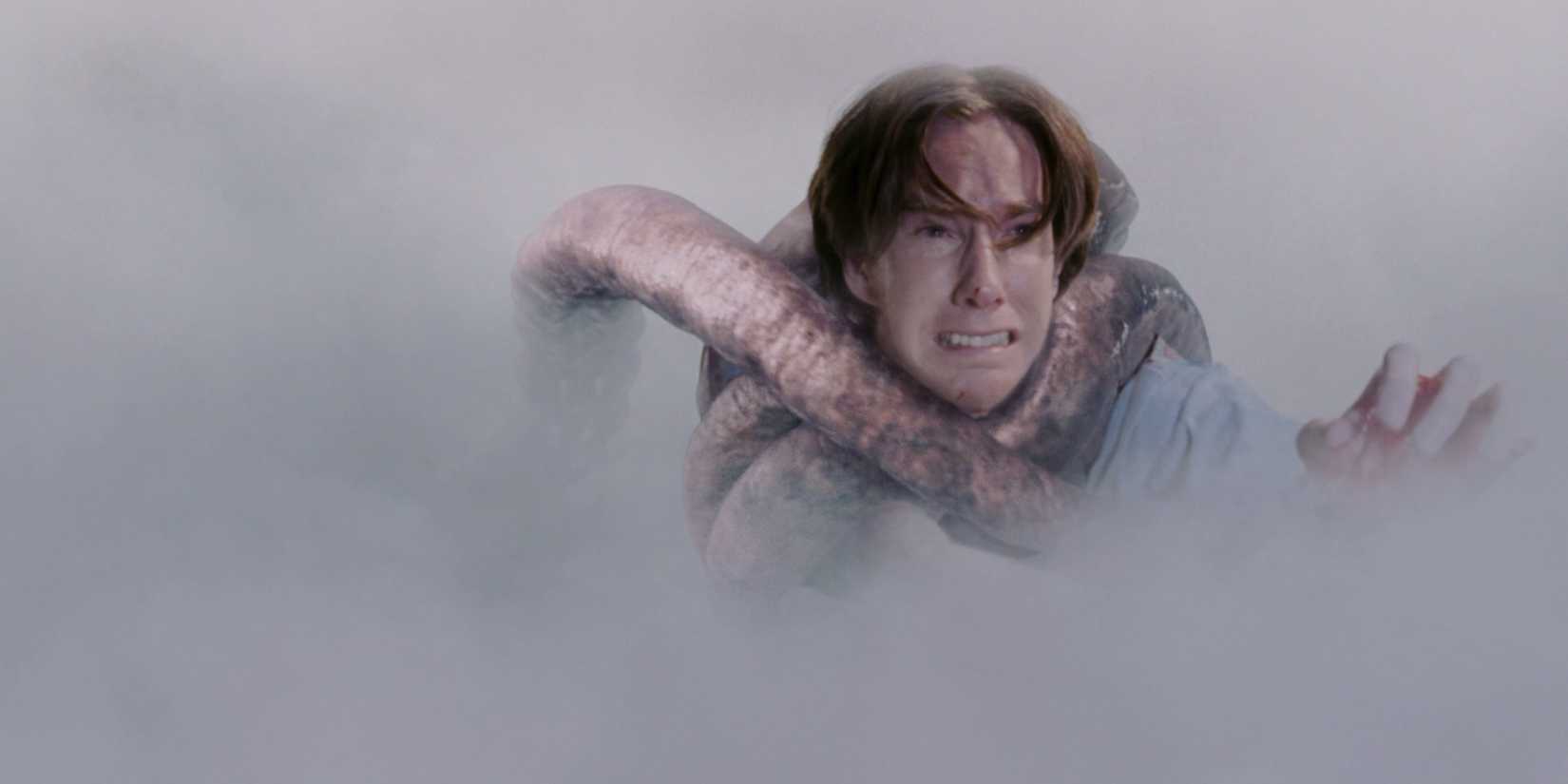 Norm (Chris Owen) is dragged into the mist in the Mist (2007)