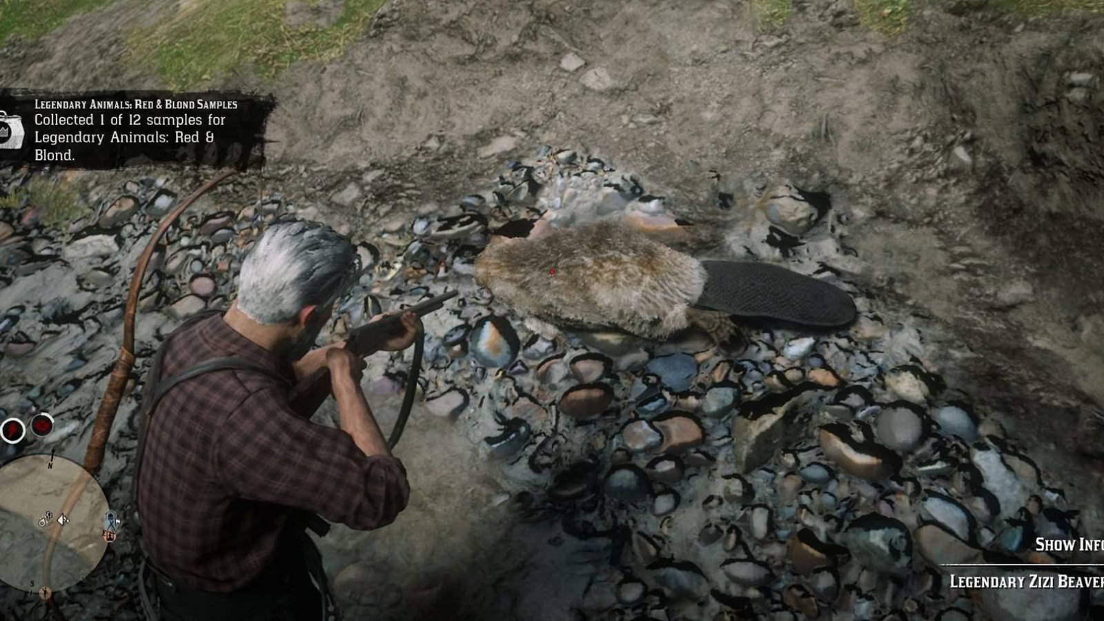 Where to Find The Legendary Zizi Beaver Location in Red Dead Online